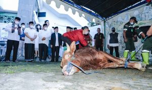 Iduladha 1443 H: Pemkot Bandung Tebar 45 Sapi dan 100 Domba