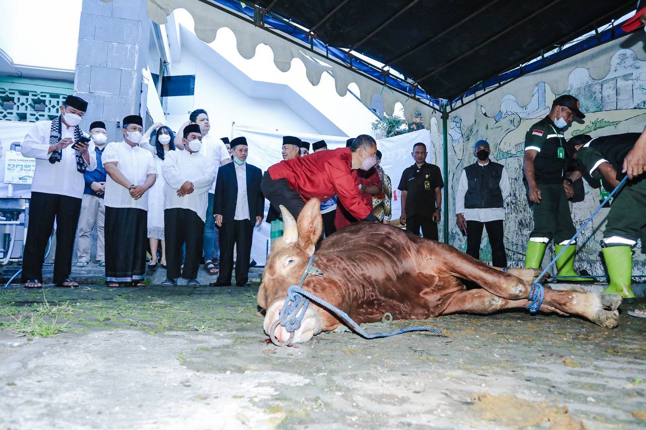 Iduladha 1443 H: Pemkot Bandung Tebar 45 Sapi dan 100 Domba