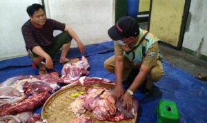 DKPP Kota Bandung Musnahkan Lebih dari 369 Kg Jeroan Sapi dan Domba Kurban